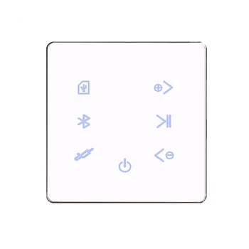 Bluetooth Stiprintuvo Sienos USB SD Kortelę Muzikos Panelė Smart Home Fono Garso Sistemos Stereo Viešbučio Restoranas-Balta