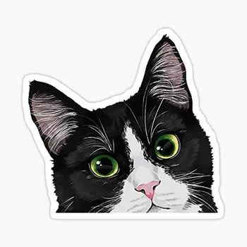 Tuxedo Cat 10VNT Lipdukai Dekoro Anime Namų Mielas Vandens Butelių Meno Bagažo Spausdinti Automobilių Langų Animaciją Kambario Sienos Fone