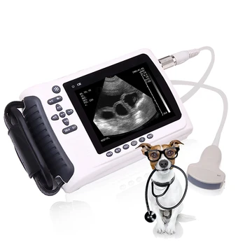 Veterinarijos ultragarso nešiojamų arklių ultragarso nešiojamoji įranga gyvūnų nešiojamas ultragarsinis aparatas