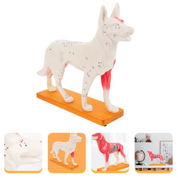 Šuo Acupoint Modelis Profesionalus Akupunktūra Šunų Kūno Įrankius, Vaikų Mokymo Mokymo Gyvūnų Anatomijos Veterinarijos dalys